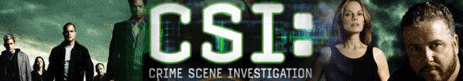 csi las vegas