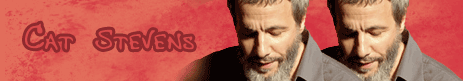cat stevens