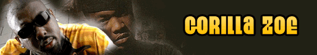 gorilla zoe